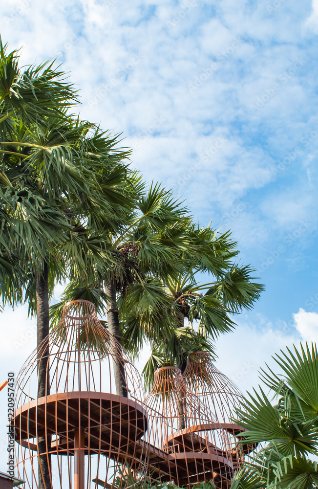 Fototapeta premium Balcony and sugar Palm trees