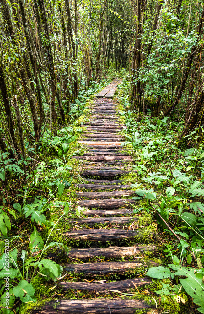 Obraz premium old footpath