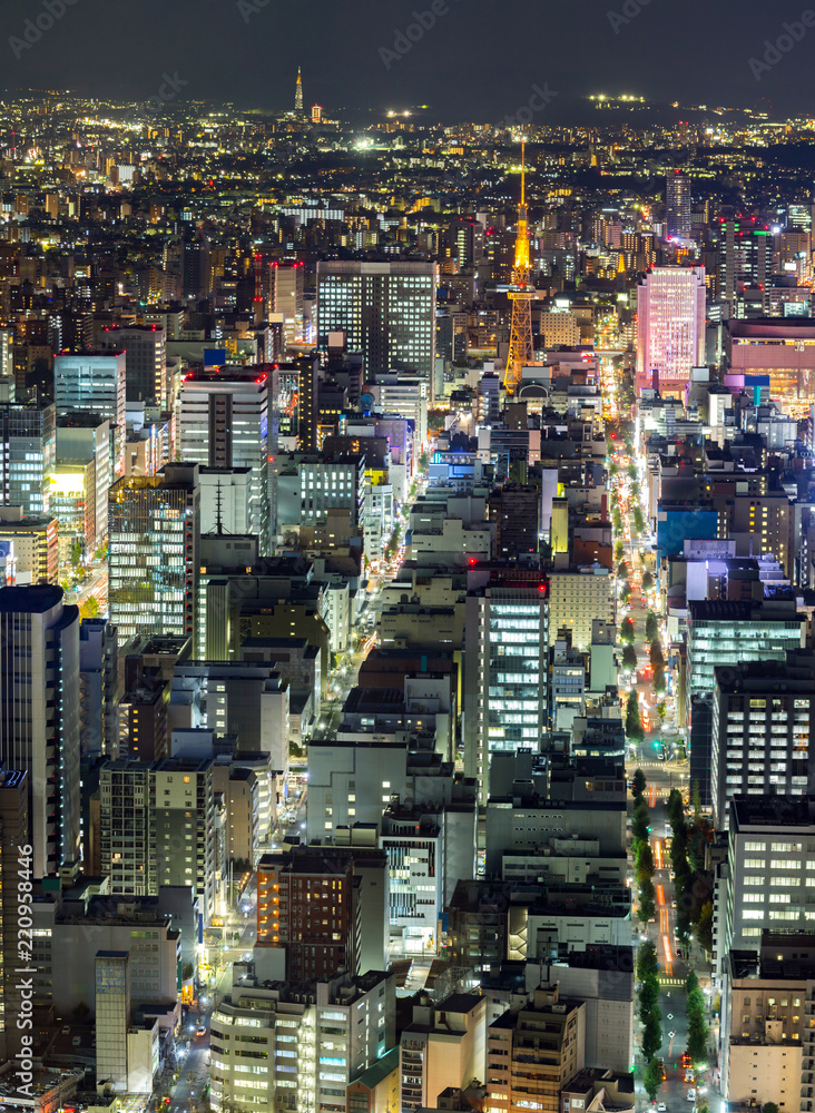 Aerial view of Nagoya