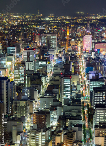 Aerial view of Nagoya © vichie81