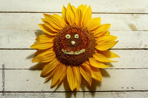 Sonnenblume mit Gesicht photo