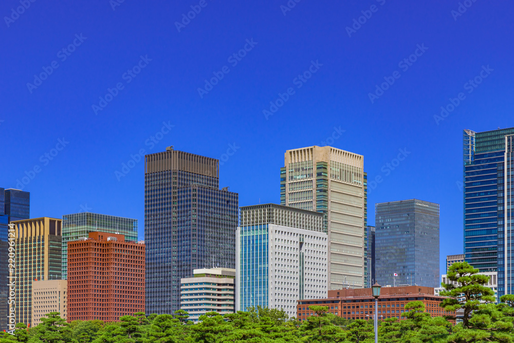 View of Tokyo skykine, Japan.