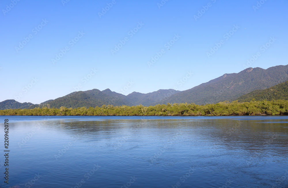 Wonderful view of the Itapanhau river, blue sky and tropical trees of the Atlantic Forest background - city of Bertioga, Brazil
