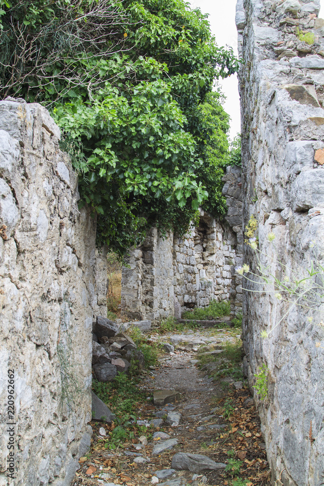 View of ancient streets in ruins of Stari Bar, ancient fortress in Montenegro