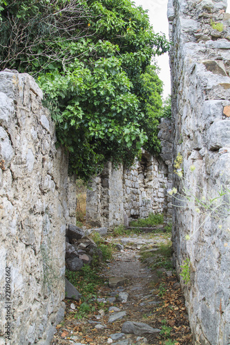 View of ancient streets in ruins of Stari Bar  ancient fortress in Montenegro