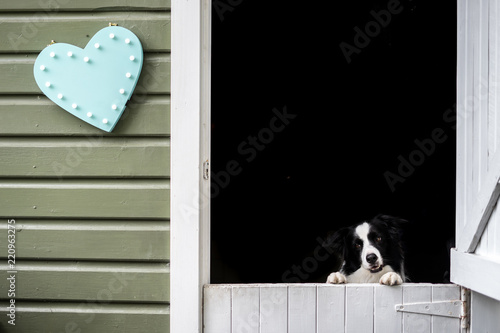 Melted Heart