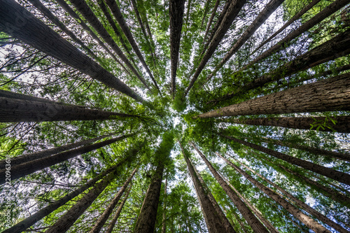 Up