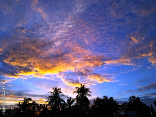 Sunset and dramatic sky with trees.