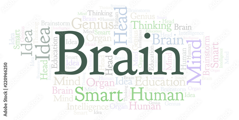 Fototapeta premium Brain word cloud.