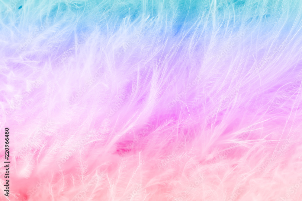 Macro of pastel bird fluffy feathers in soft color and blur style for background