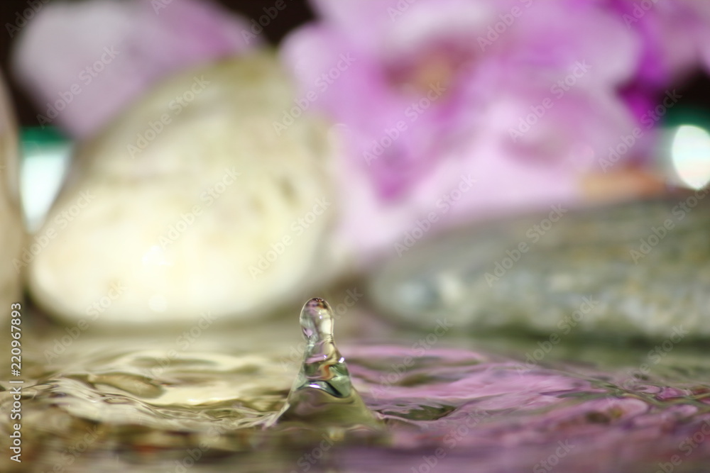 beautiful fresh drop water in fresh nature