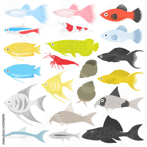 熱帯魚のイラストセット