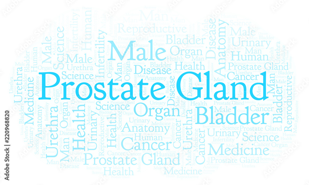 Prostate Gland word cloud.