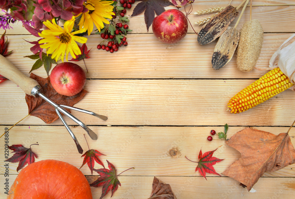 top view on autumnal flowers put on a wooden table with leaf, gardening tools, red apple , pumpkin and corn top view on autumnal flowers put on a wooden table with leaf, gardening tools, red apple , pumpkin and corn
