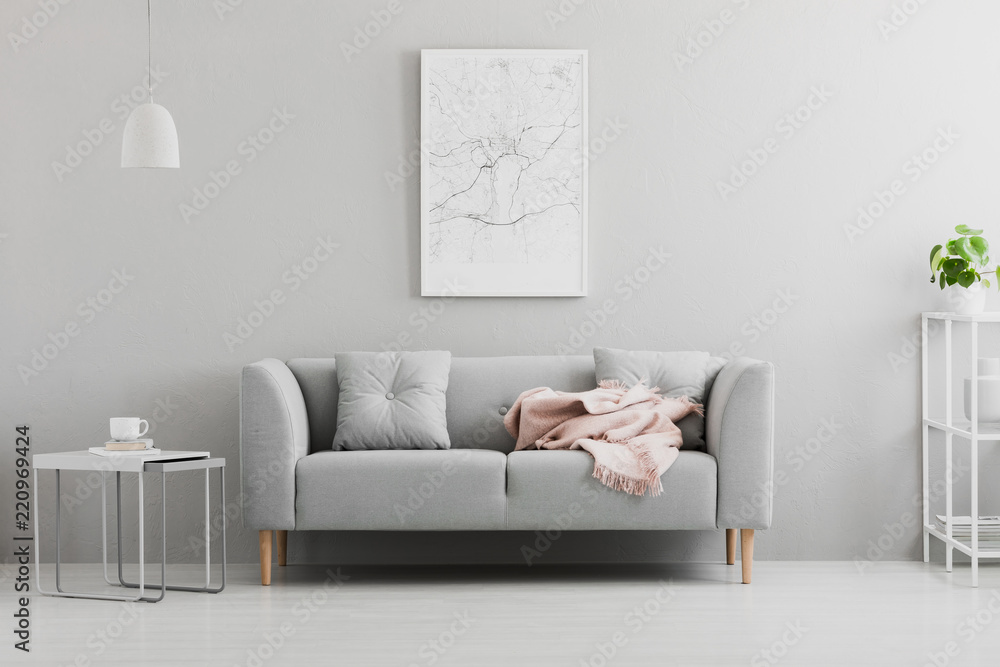 Poster above grey sofa with pink blanket in living room interior with white lamp and plant. Real photo - obrazy, fototapety, plakaty 
