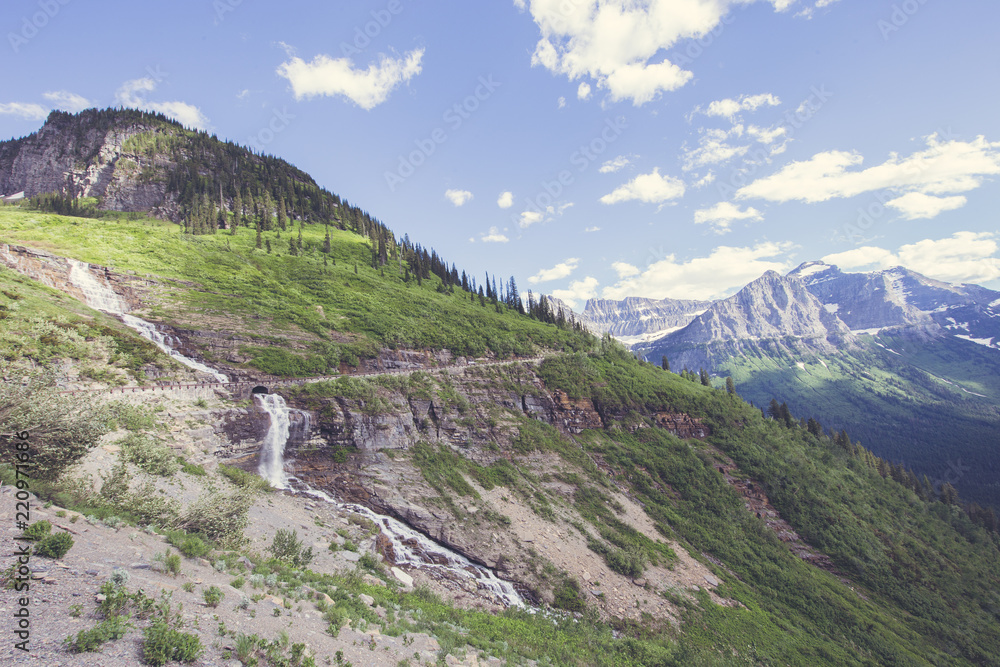 Obraz premium In the Park