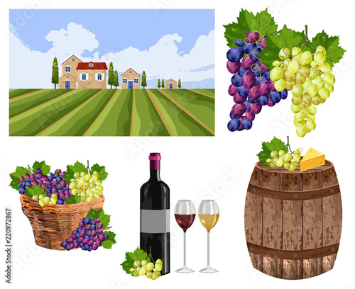 Vineyard set collection landscape, bottle, glass, barrel Vector