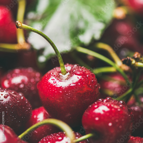 Fresh sweet cherry texture, wallpaper and background. Wet sweet cherries with leaves, selective focus, close-up, square crop. Summer food or local market produce concept