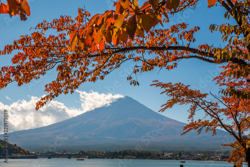 Mount Fuji  view from Kawaguchiko view point in autumn