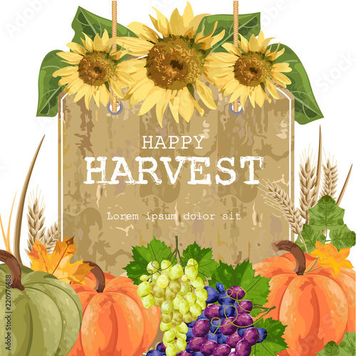 Autumn harvest with pumpkins, grapes, sunflower Vector