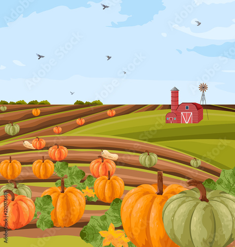 Pumpkins harvest Vector. autumn seasonal banner templates