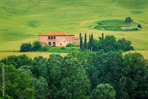 фотографія Landscape near Campana, Tuscany