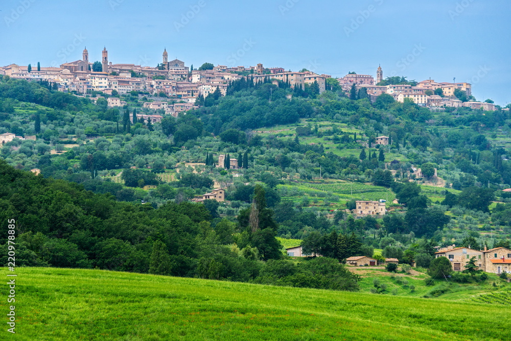Fototapeta premium Montalcino