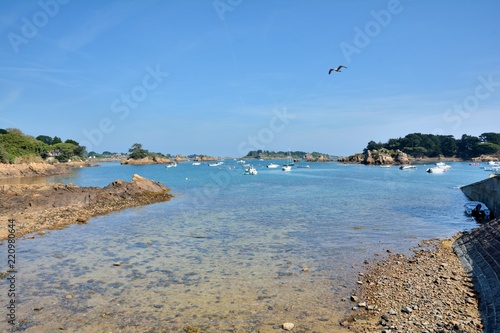 Paysage sur l'île de Bréhat en Bretagne. France