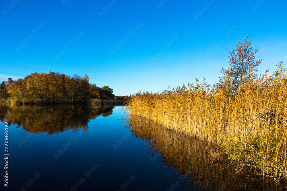 Autumn Landscape at a glassy lake with reedbed