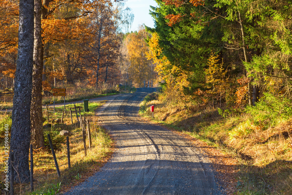 Rural road through autumn landscape
