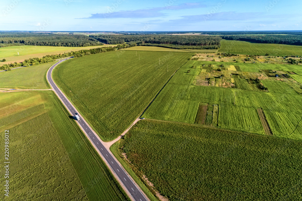 Green agricultural and wheat field. The fields are separated by asphalt road. View from a great height