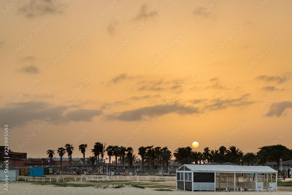 Beautiful sunset over palm trees