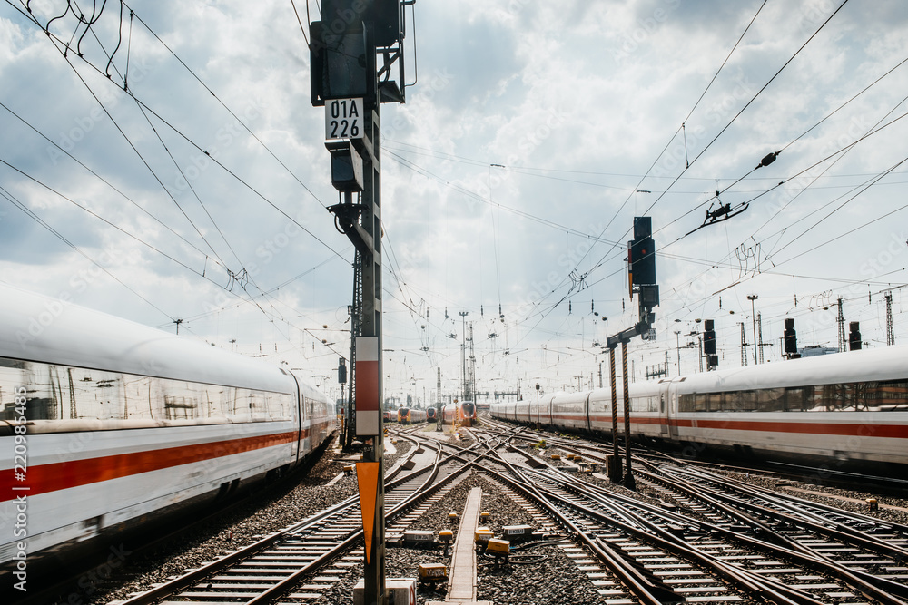 Fototapeta premium Pociągi wjeżdżają do Frankfurter Bahnhof