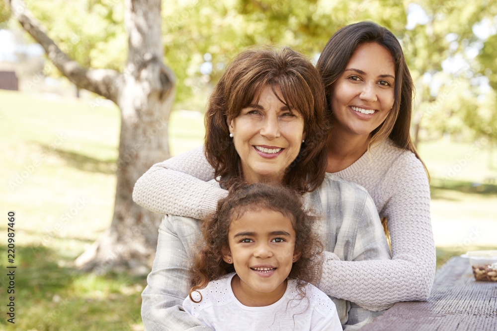 Three generations of women at a family picnic in a park Three generations of women at a family picnic in a park