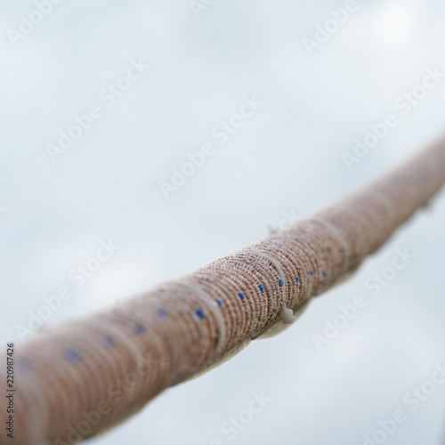 Rope texture thread cord hemp closeup against sky background.