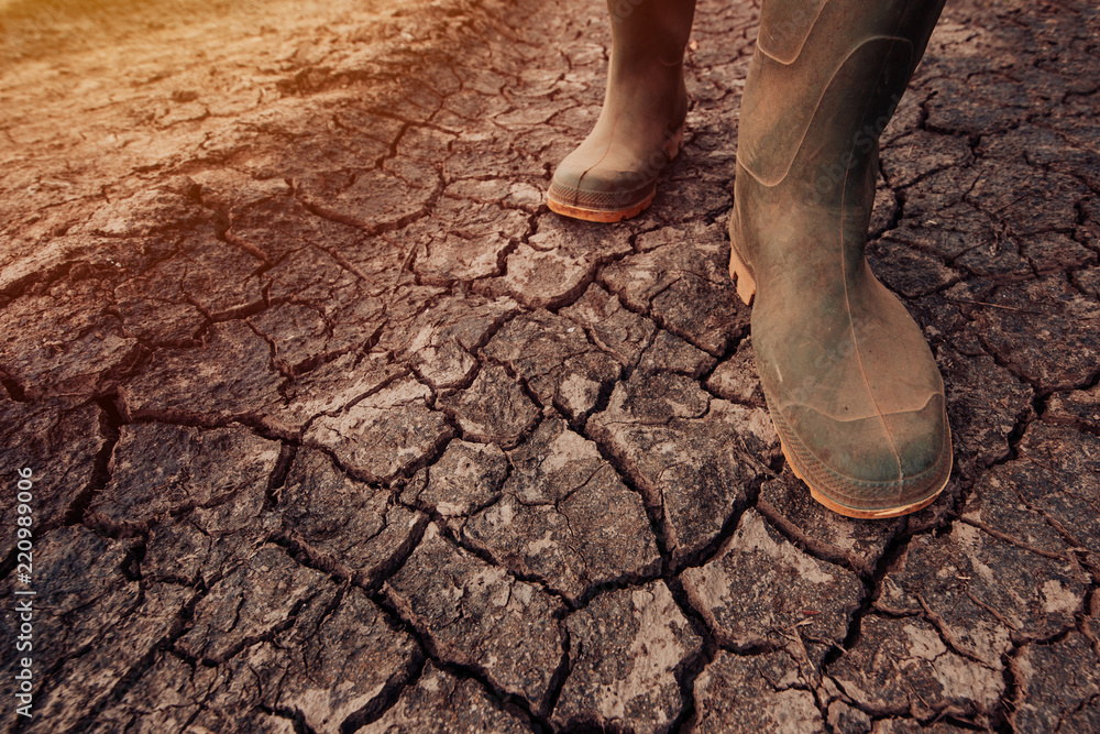 Farmer in rubber boots walking on dry soil ground - obrazy, fototapety, plakaty 
