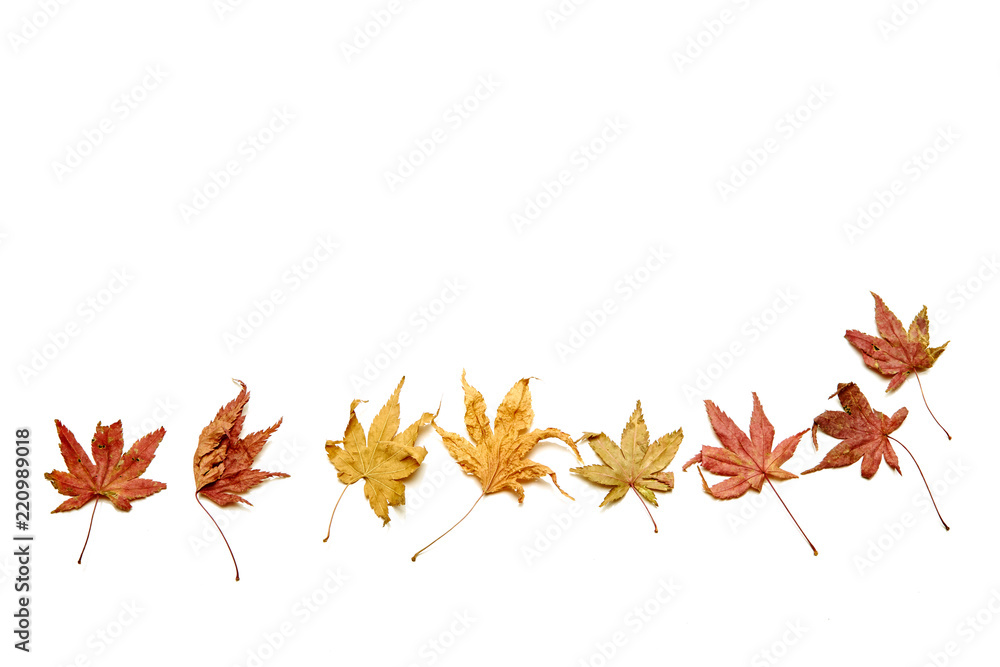 Autumn background falling leaves Autumn background falling leaves