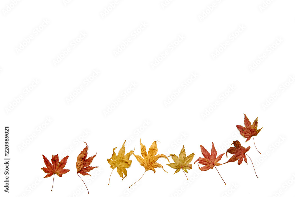 Autumn background falling leaves Autumn background falling leaves