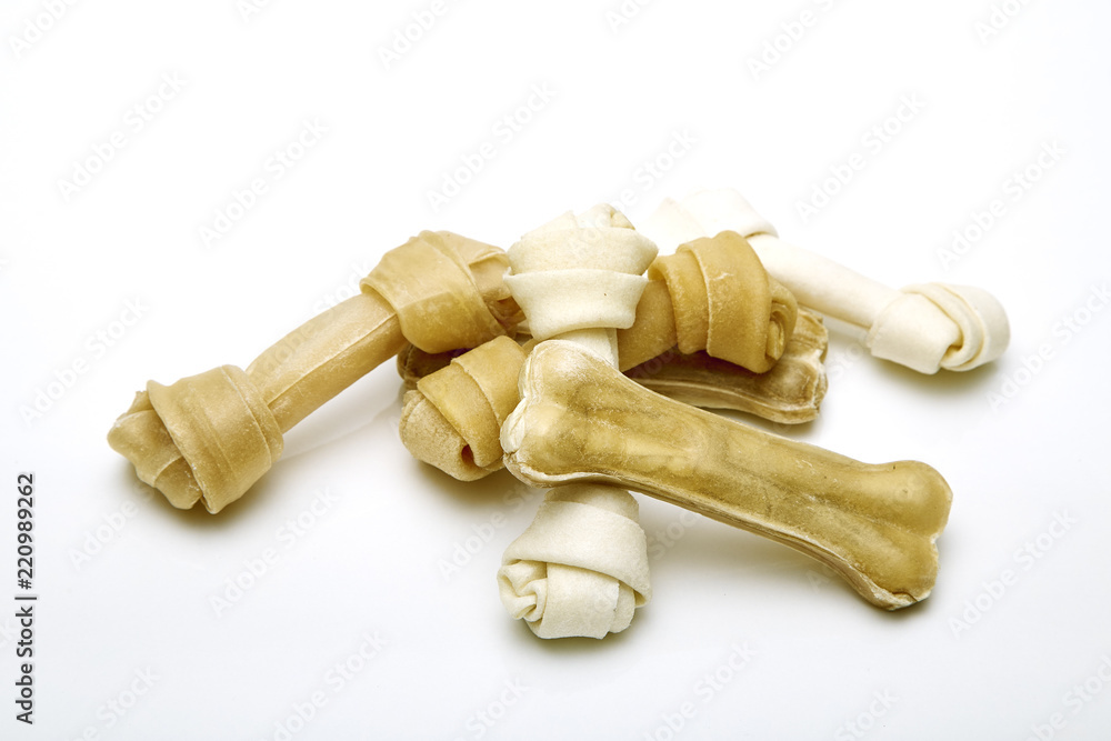 Dog bone white background