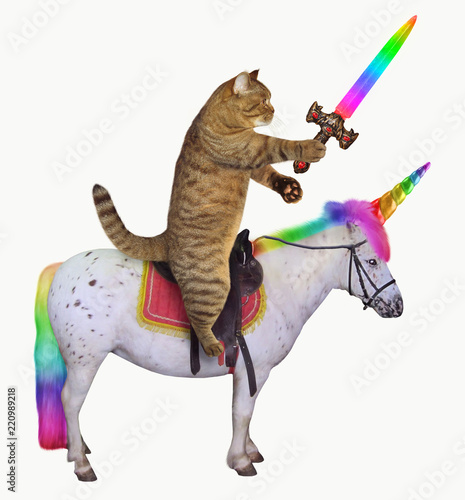The cat with a rainbow sword is riding the real unicorn. White background. photo
