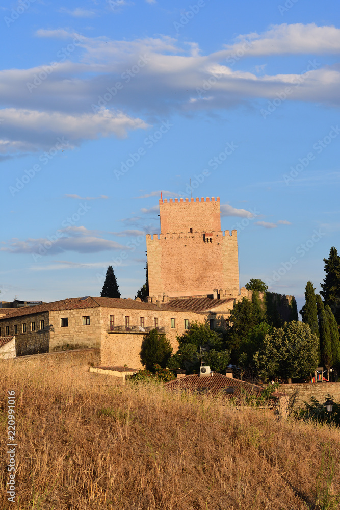 castle of  Ciudad Rodrigo, Salamanca Province, Castilla Leon, Spain