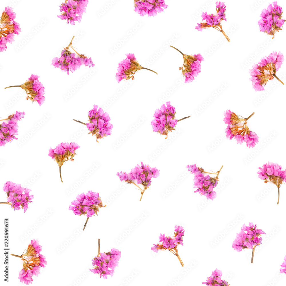 Floral pattern made of Limonium or Statice flowers isolated on white background. Flat lay. Top view.