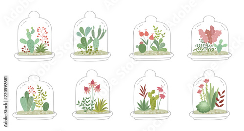 Vector collection of cute house plants under glass. Gardening under the dome.