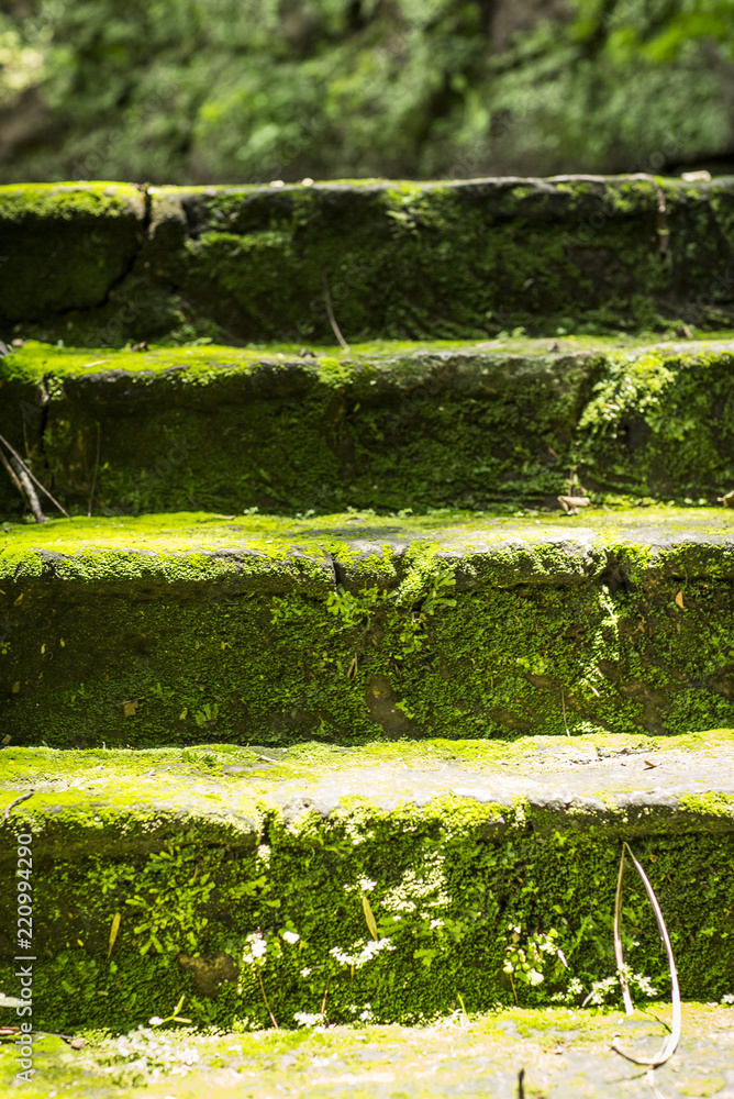old place decorated in green areas old place decorated in green areas