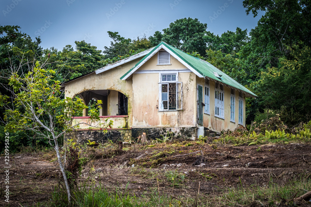 Abandoned old house with an ackee fruit tree in front, in the countryside in Jamaica