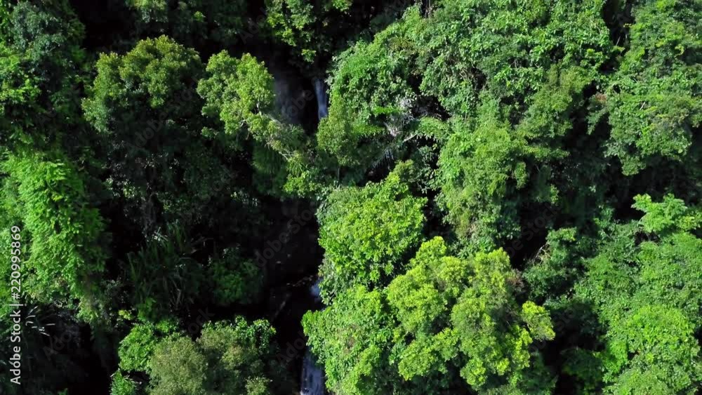 Aerial View of Tropical Waterfall in Lush Green Foliage Aerial View of Tropical Waterfall in Lush Green Foliage