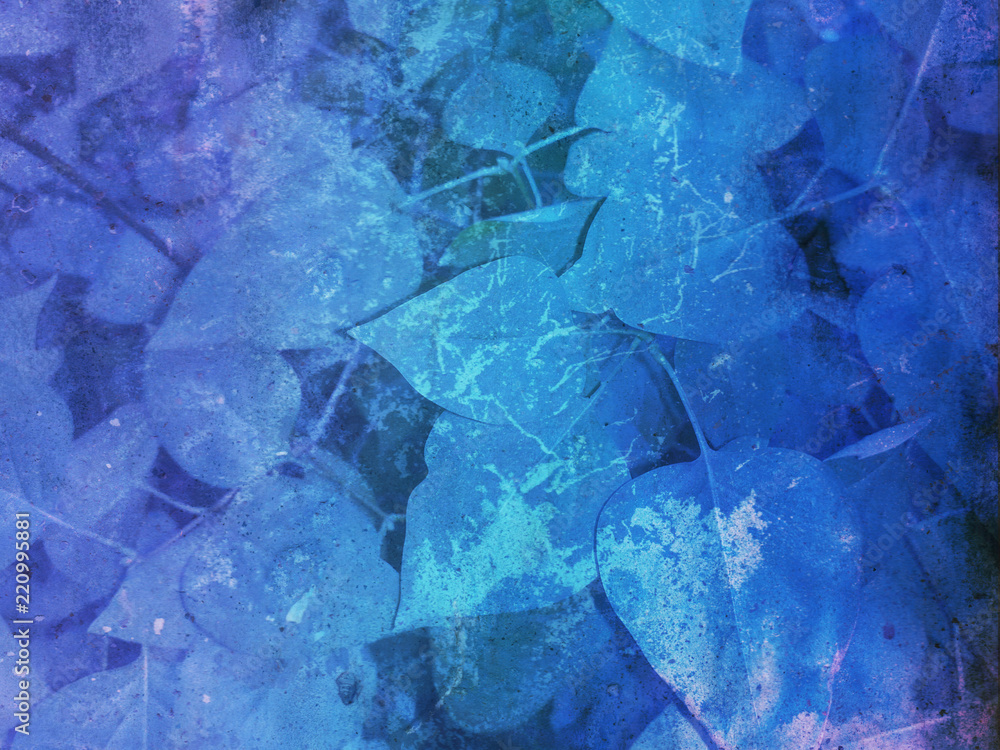 Obraz premium foliage