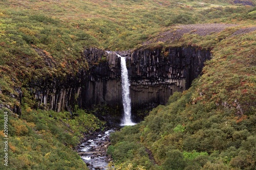 Svartiffoss waterfall. Catarata de Svartiffoss en Islandia.