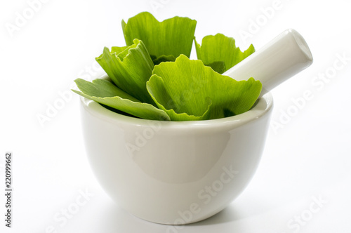 leaves of ginkgo biloba tree or ginko in a white bowl with a white background