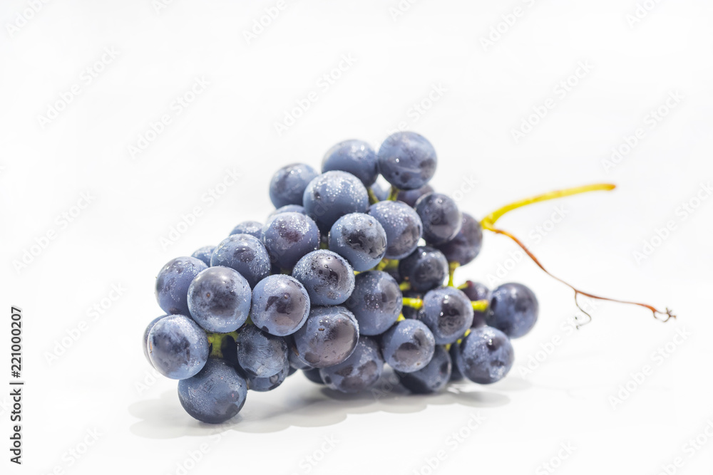 Raw dark grapes isolated on white background. Autumn abstractions. Raw dark grapes isolated on white background. Autumn abstractions.